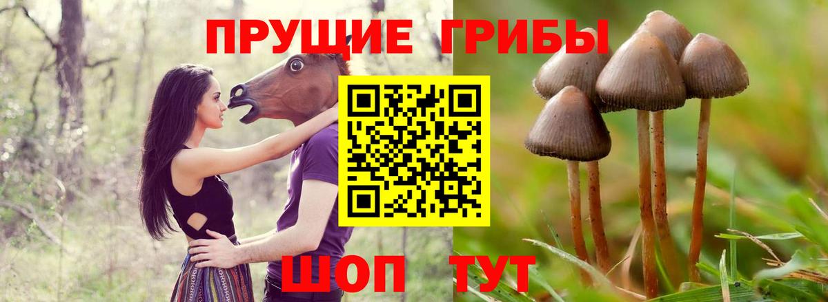 Псилоцибиновые грибы MAGIC MUSHROOMS  Галлюциногенные грибы Psilocybe  Вход с VPN  Алексин 